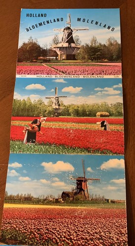 Holland Postcards Lot Bloemenland Molenland Land Of Windmills & Blooms / Tulips - Picture 8 of 12