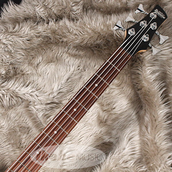 New Ibanez Gsr205 Bk Accessory 7-Piece Set Included Bass Guitars w