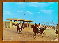 SAUDI ARABIA, RIYADH, HORSE RACING, Chrome Postcard Posted 1979 EUC