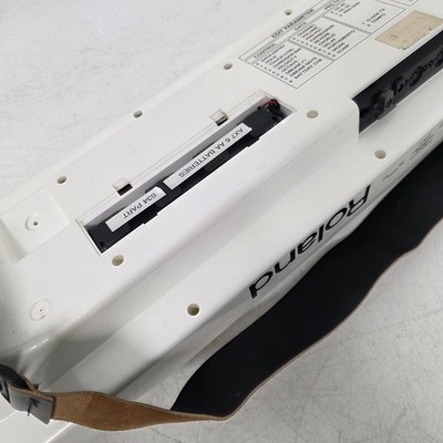 Vintage Rare Roland AX-7 Keytar Synthesizer White 45 Key | eBay