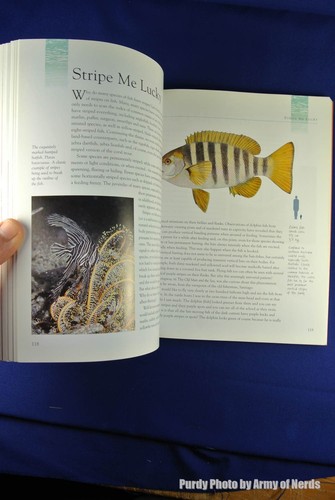 FISH TALES Julian Pepperell AUSTRALIAN FISH FACTS NATURAL SCIENCE Book - Picture 10 of 12