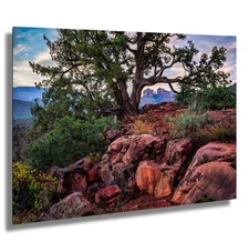 Home Decor - Canvas Wall Art - Sedona Cathedral Rock Sunrise Vortex Photo