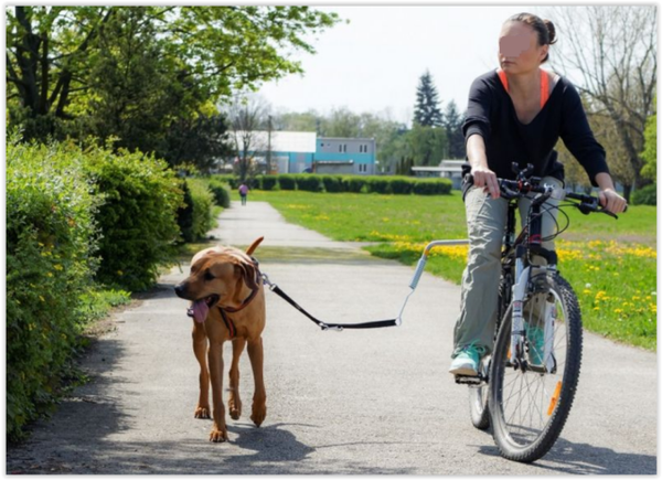 bike holder to ride inside