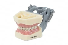 DENTAL PEDIATRIC TYPODONT 760 MODEL COMPATIBLE WITH COLUMBIA BRAND TEETH