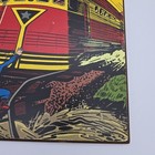 Picture 8 of 14