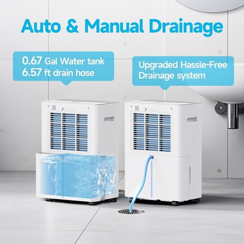 34 Pints Dehumidifiers for Home with 6.56ft Drain Hose, 2441 Sq.Ft Quite & Energ - Picture 6 of 6