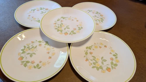 CORELLE STRAWBERRY SUNDAE SALADS 5PC         GOOD  USED COND