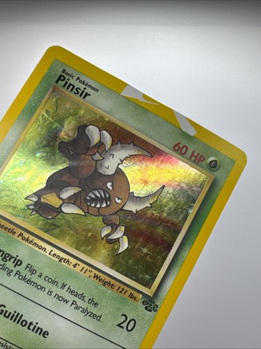 Pinsir 9/64 - Jungle - Holo - Pokemon Card - Picture 3 of 18