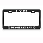 Devon Rex Cat Black Animal Steel Metal License Plate Frame