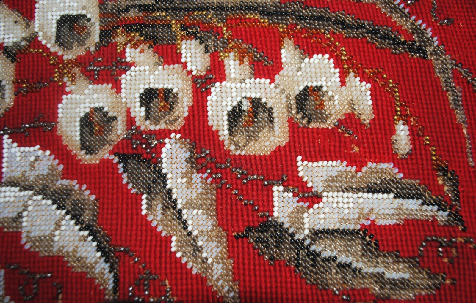 Picture 9 of 10