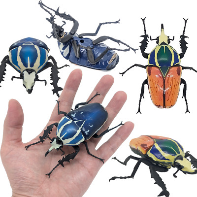 Bandai Gashapon Ugandensis Flower Beetle Figure Mecynorhina Torquata 3.5in Japan