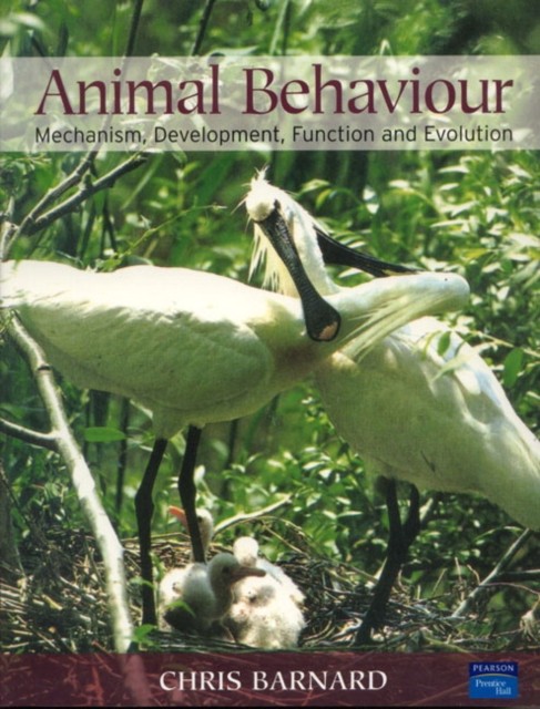 Animal Behaviour by Chris Barnard (Paperback Book)