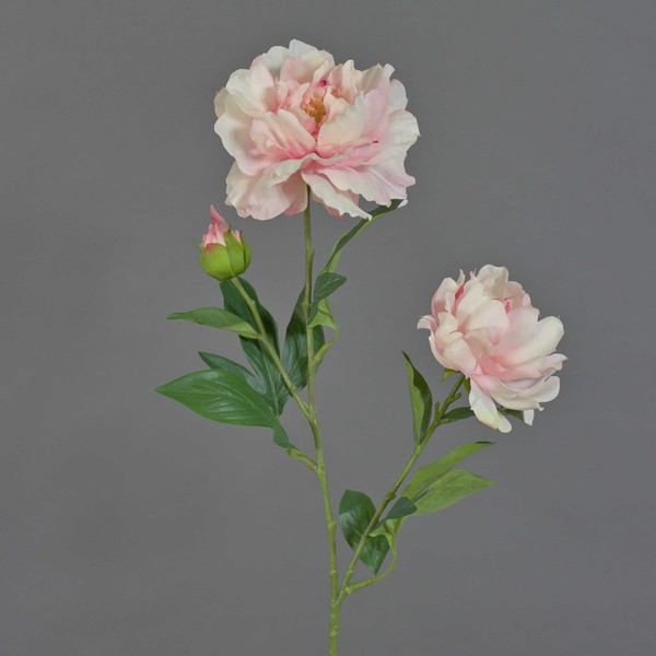 Artplants Textilblume Pfingstrose Onyx, Creme-Rosa, 70Cm, Ø10-13Cm-image