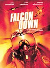 Falcon Down (DVD, 2009)