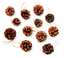 Pine Cone Ornaments Christmas Decorations 1 1/2" to 2" Natural Tree Cones 12pcs