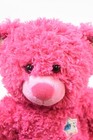 Bild 5 von 5