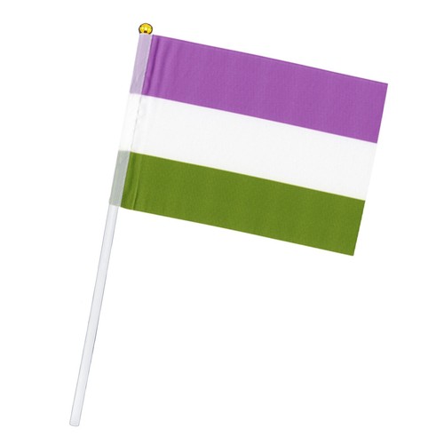 Mini PRIDE HANDHELD FLAG, LGBT Rainbow Trans Genderfluid Asexual Lesbian Pan Bi - Picture 16 of 33