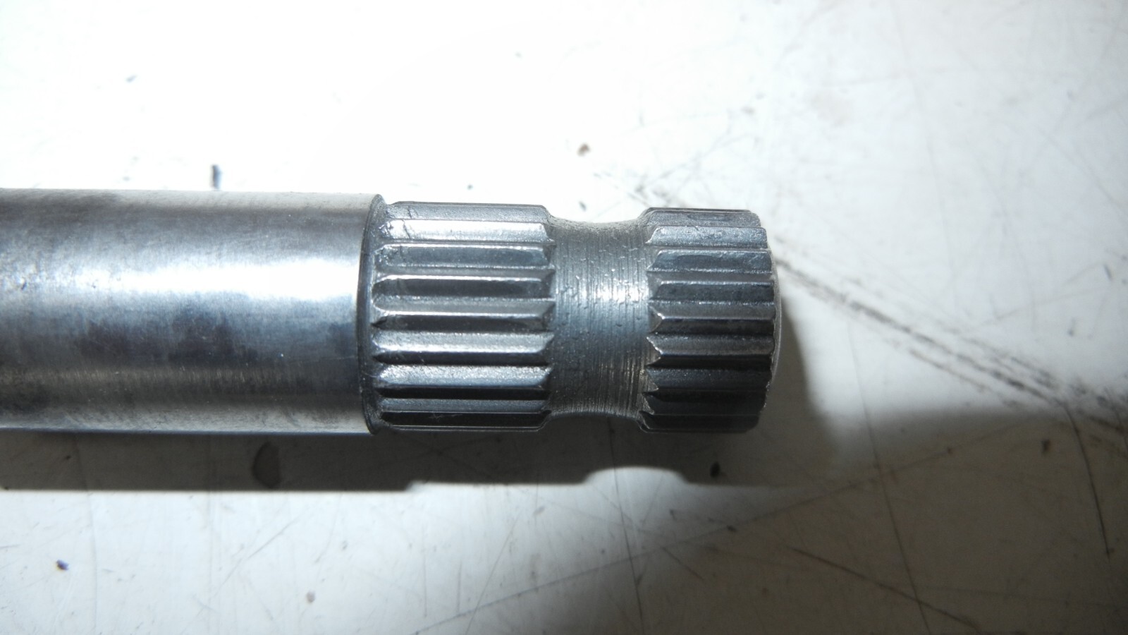 Picture 5 of 5
