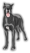 Great Dane Dog Car Bumper Sticker Decal 3'' x 6''