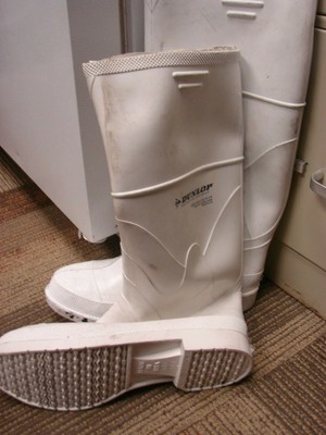 Dunlop White Rubber Protective Steel 