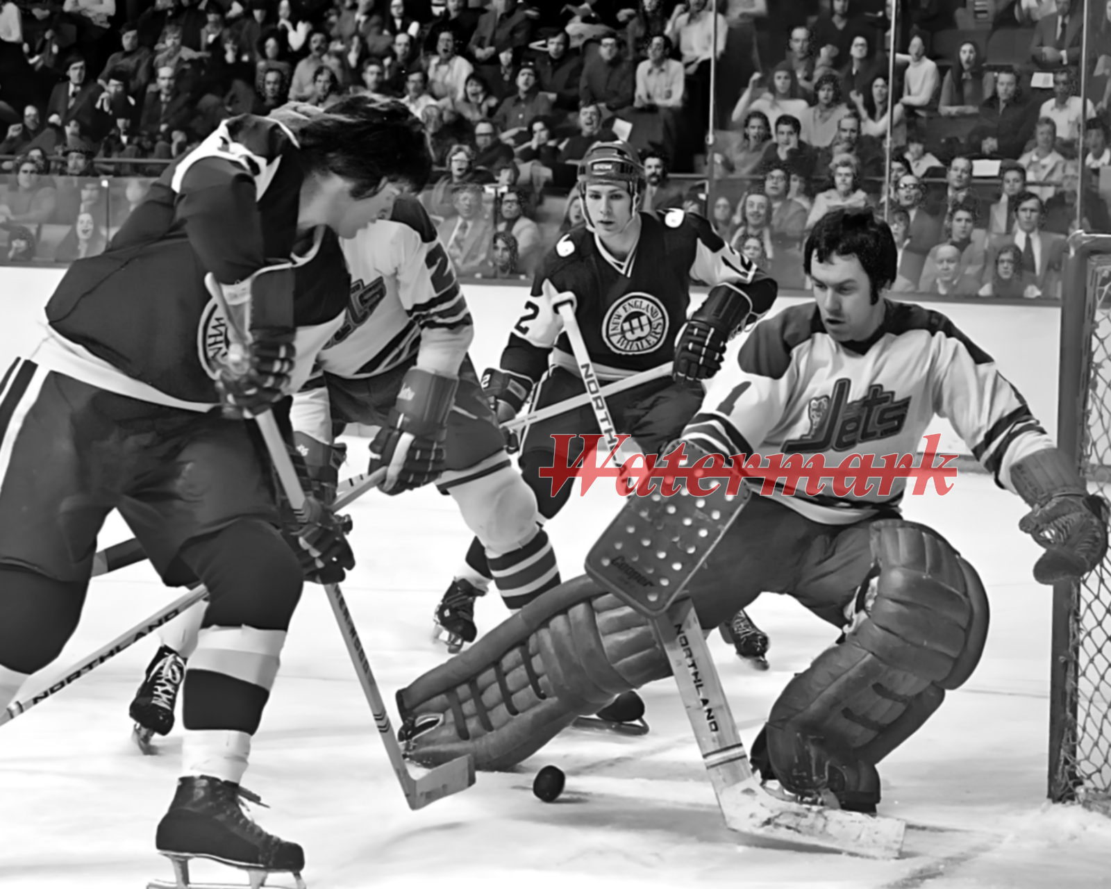 WHA Winnipeg Jets Goalie Joe Daley Game Action VS Whalers 8 X 10 Photo Picture