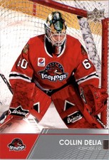 2021-22 Upper Deck AHL #34 Collin Delia - HKY