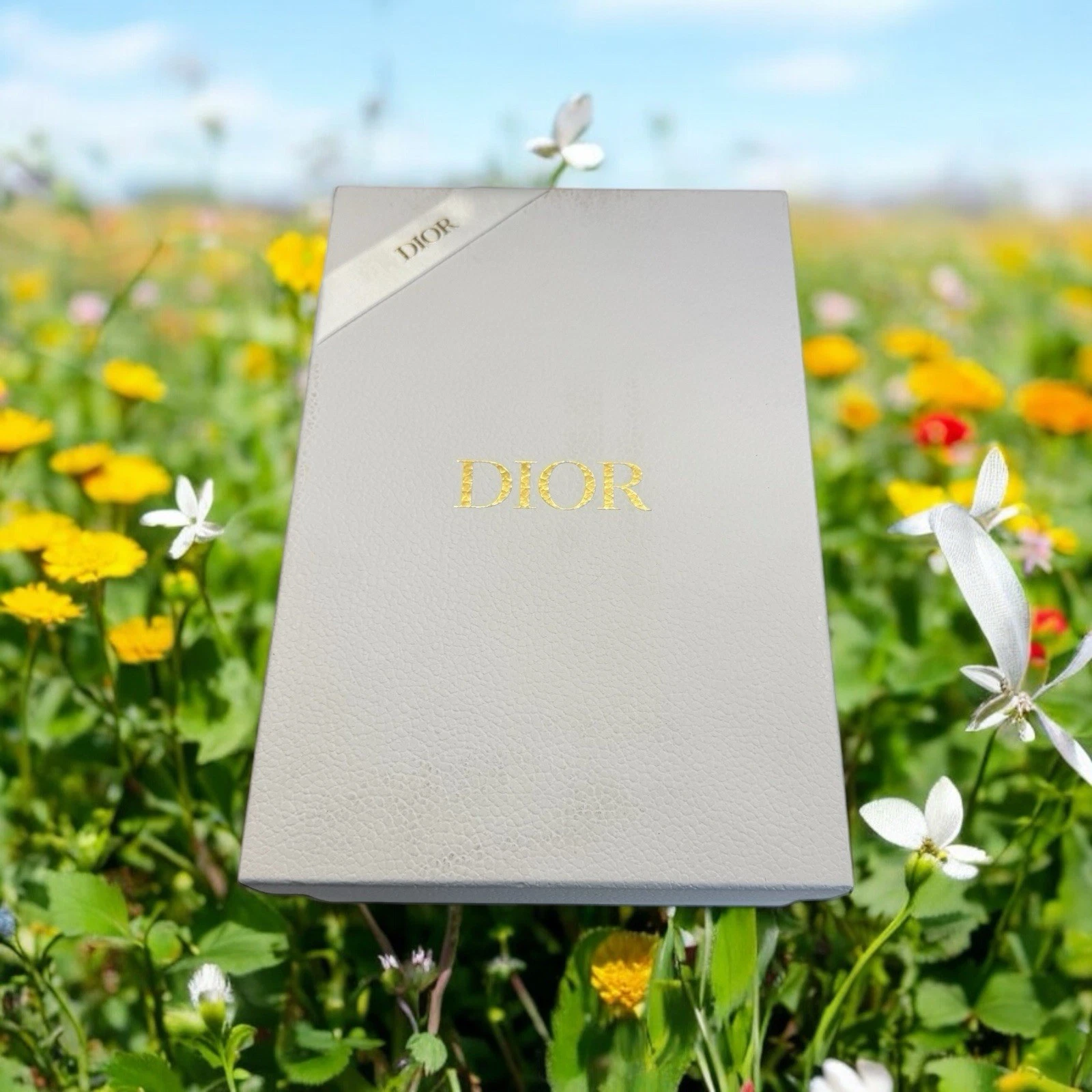 Authentique nœud de rangement cadeau vide chaussures Dior blanc avec enveloppe carte et ruban
