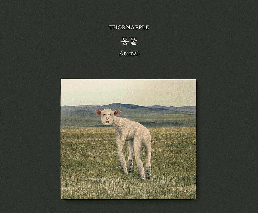 【中古】［CD］Thornapple EP Album THORNAPPLE [ANIMAL] EP Album CD+Booklet K-POP SEALED | eBay