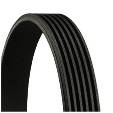Continental Ctam Keilrippenriemen 23638112 6PK1765 6PK1766 6PK1768 6PK1769
