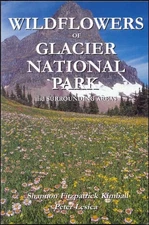 WILDFLOWERS OF GLACIER NATIONAL PARK: AND SURROUNDING By Shannon F. NEW
