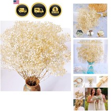 4000 Dried Babys Breath Flowers Bulk - 17.2" Ivory White Dried Flowers Bouqu...