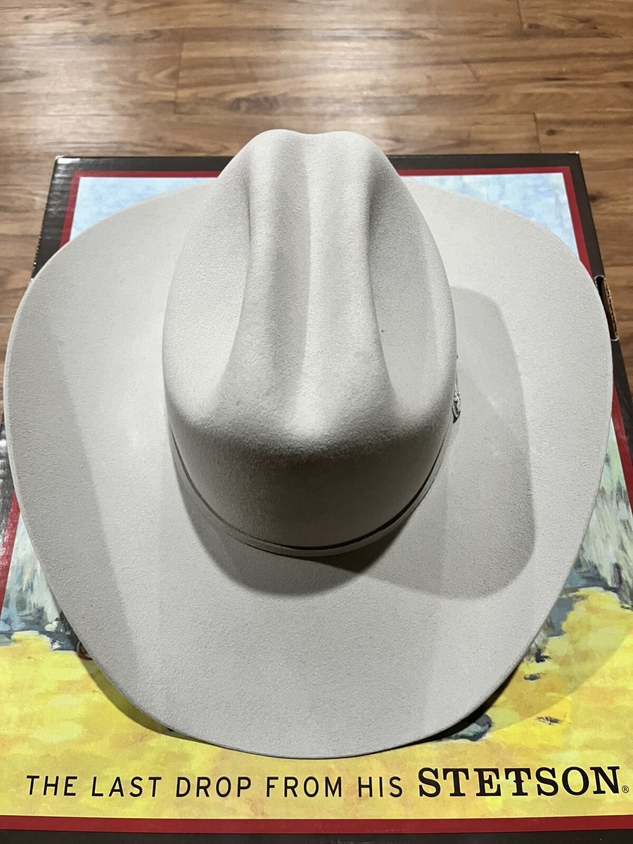 STETSON 6X Skyline - Silver Grey | eBay STETSON 6X Skyline - Silver Grey | eBay