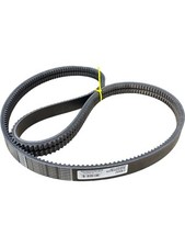New Continental 2/BX82 Belt  Fast Shipping 