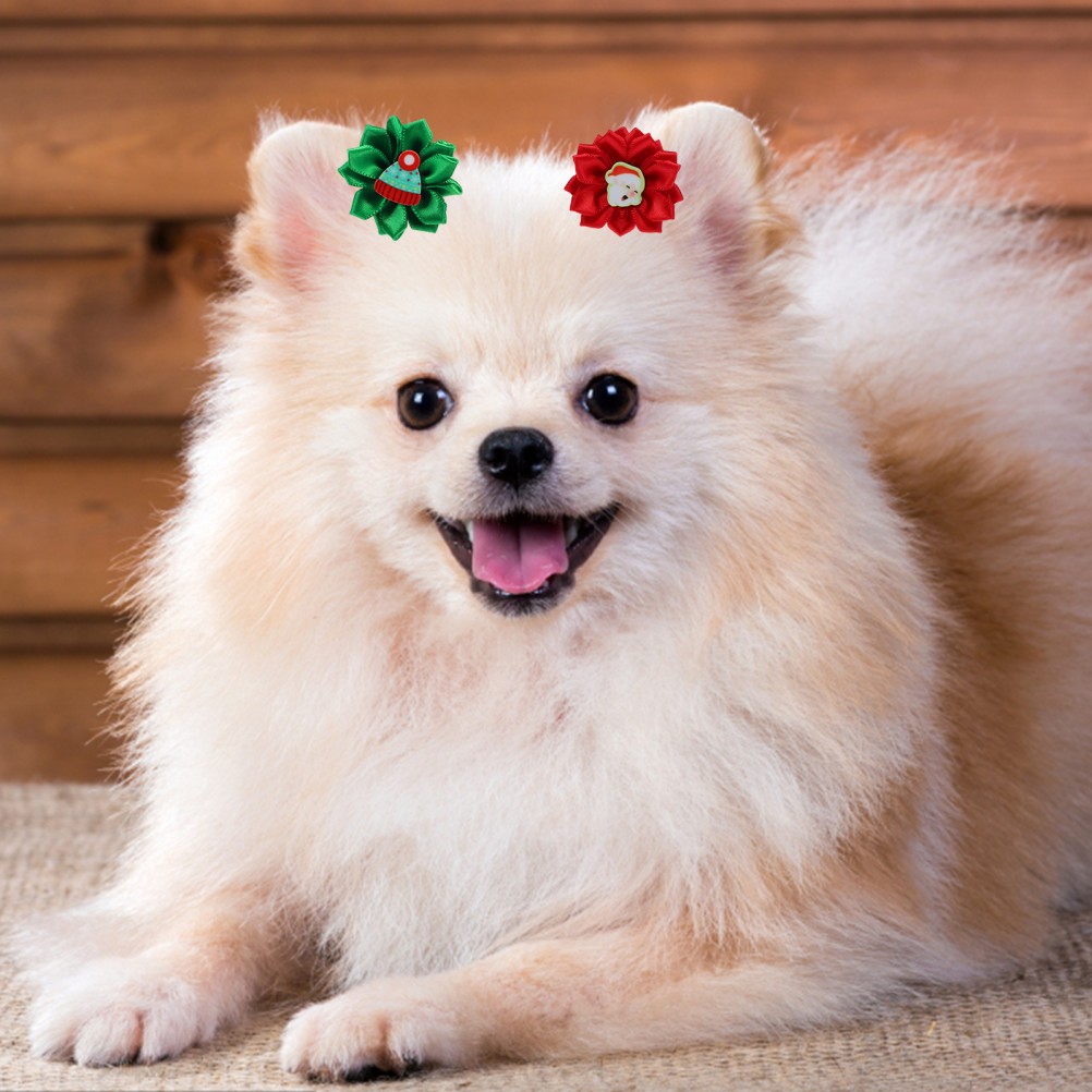 30 Pcs Accessori Per Cani Cane Fasce Capelli Durevoli Fermagli Peli Di foto 3