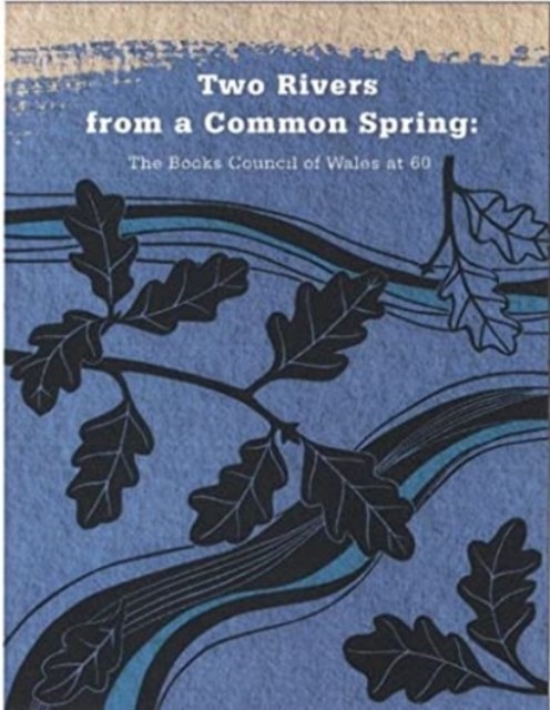 Two Rivers From A Common Spring The Book