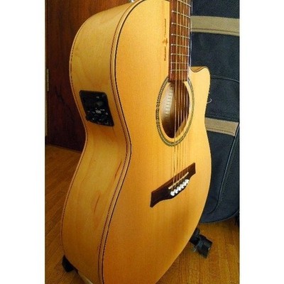 Electric Acoustic Guitar Seagull Natural Elements CW Folk SG Amber