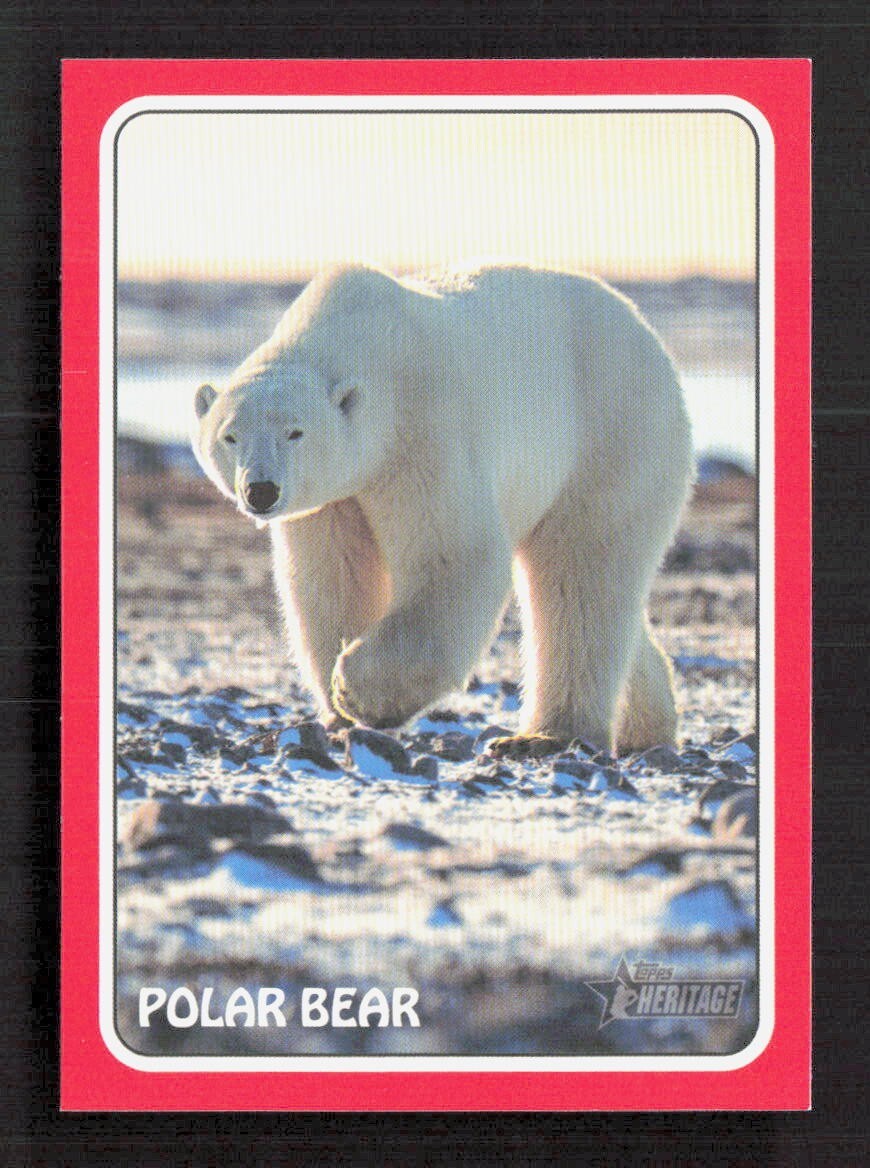 2024 TOPPS HERITAGE 75Z-9 PETE ALONSO POLAR BEAR RED Parallel | eBay