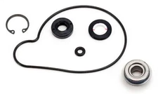 Arctic Cat Mountain Cat 500, 2001-2002, Water Pump Rebuild/Seal Kit