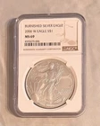 2006-W Burnished Silver Eagle NGC MS69