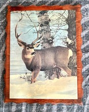 LARGE Whitetail Buck Deer Wall Hanging Laquer Wood Vintage Hunting Antlers 24x19