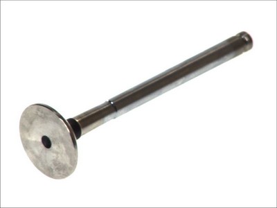 Auslaßventil FRECCIA R3324/RCR