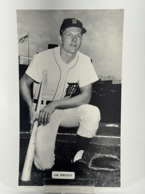 #ad J.D. McCarthy Postcard Jim Northrup Detroit Tigers d22 $4.99
