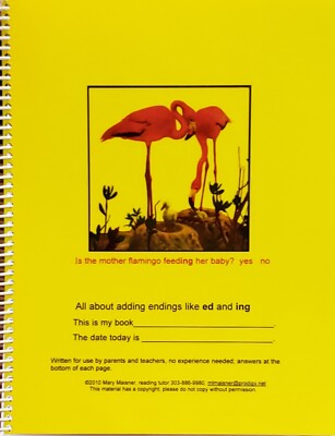 Instant Reading Help Vowel lessons: long, short, add s, es, ed, ing, Q & A