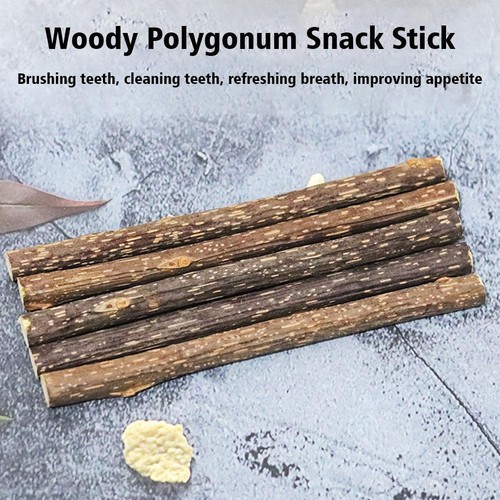 5X Catnip Cat Sticks Dried Natural Matatabi Silvervine Chew Toy Teeth Clean -US - Picture 12 of 18