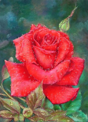 Anastasia Woron: ''La Rosa'' - Originales Signiertes Ölbild (22x16 cm) 2019