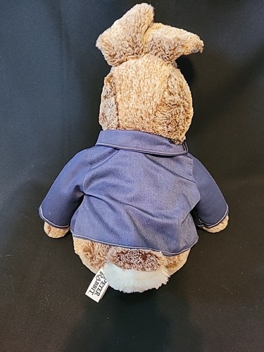 🐰 Peter Rabbit EASTER 15" Bunny Plush Animal Collectors Choice Dan Dee 2019 - Picture 5 of 6