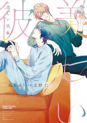 Utsukushii Kare : My Beautiful Man Comic & Novel Japanese