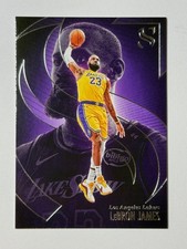 2024-25 Panini Silhouette #20 LeBron James Los Angeles Lakers