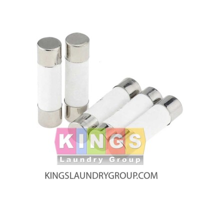 5 PCS CERAMIC FUSE, SLOW BLOW 1.25A 250V 5X20MM FOR WASCOMAT 471875011 875011
