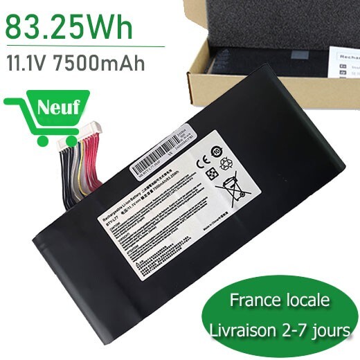 Batterie BTY-L77 pour PC Portable MSI GT72VR 6RD et Série GT80
